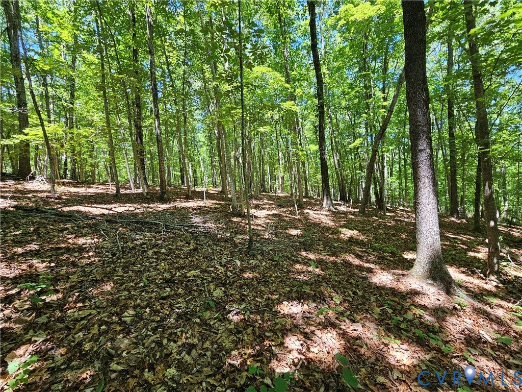 15 Ac Manteo Road, Buckingham, VA 23921 15 Ac Manteo Road, Buckingham, VA 23921