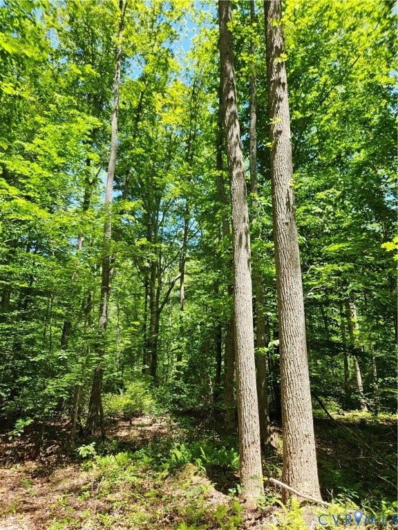 15 Ac Manteo Road, Buckingham, VA 23921 15 Ac Manteo Road, Buckingham, VA 23921