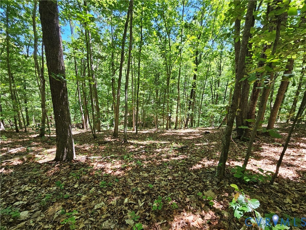 15 Ac Manteo Road, Buckingham, VA 23921 15 Ac Manteo Road, Buckingham, VA 23921
