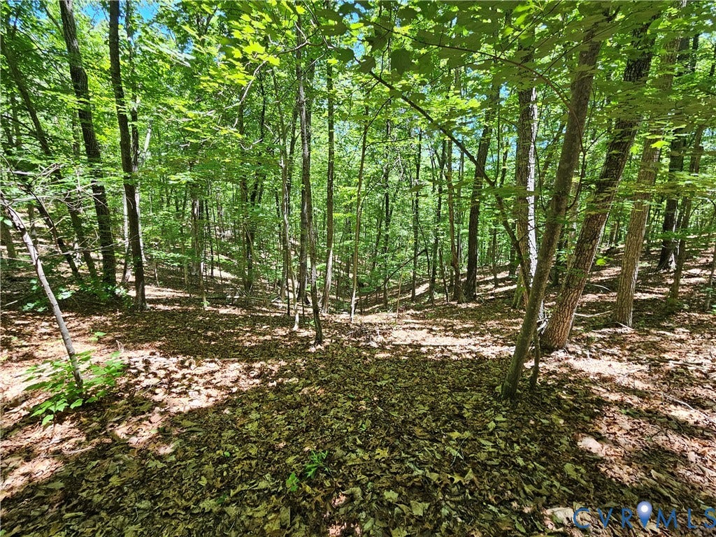 15 Ac Manteo Road, Buckingham, VA 23921 15 Ac Manteo Road, Buckingham, VA 23921