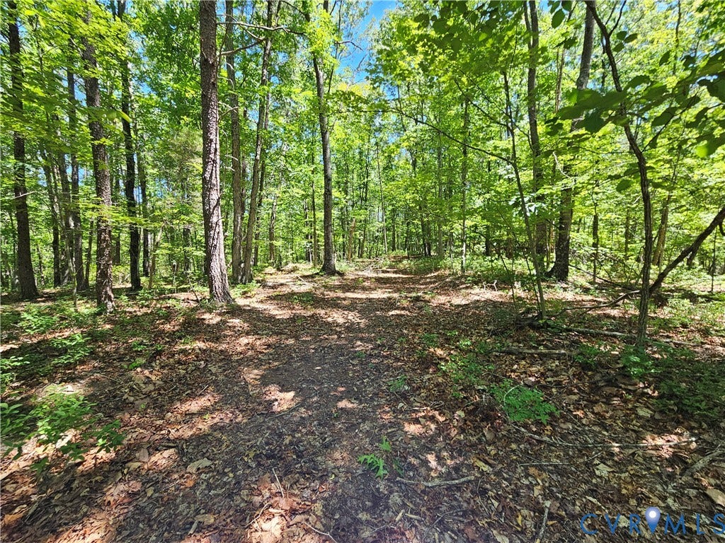 15 Ac Manteo Road, Buckingham, VA 23921 15 Ac Manteo Road, Buckingham, VA 23921