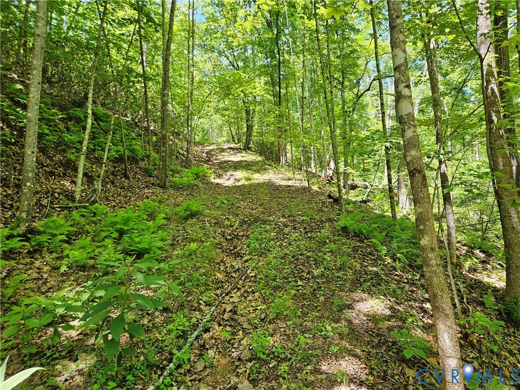 15 Ac Manteo Road, Buckingham, VA 23921 15 Ac Manteo Road, Buckingham, VA 23921