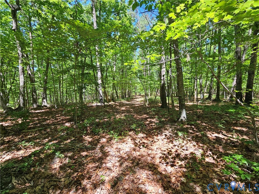 15 Ac Manteo Road, Buckingham, VA 23921 15 Ac Manteo Road, Buckingham, VA 23921