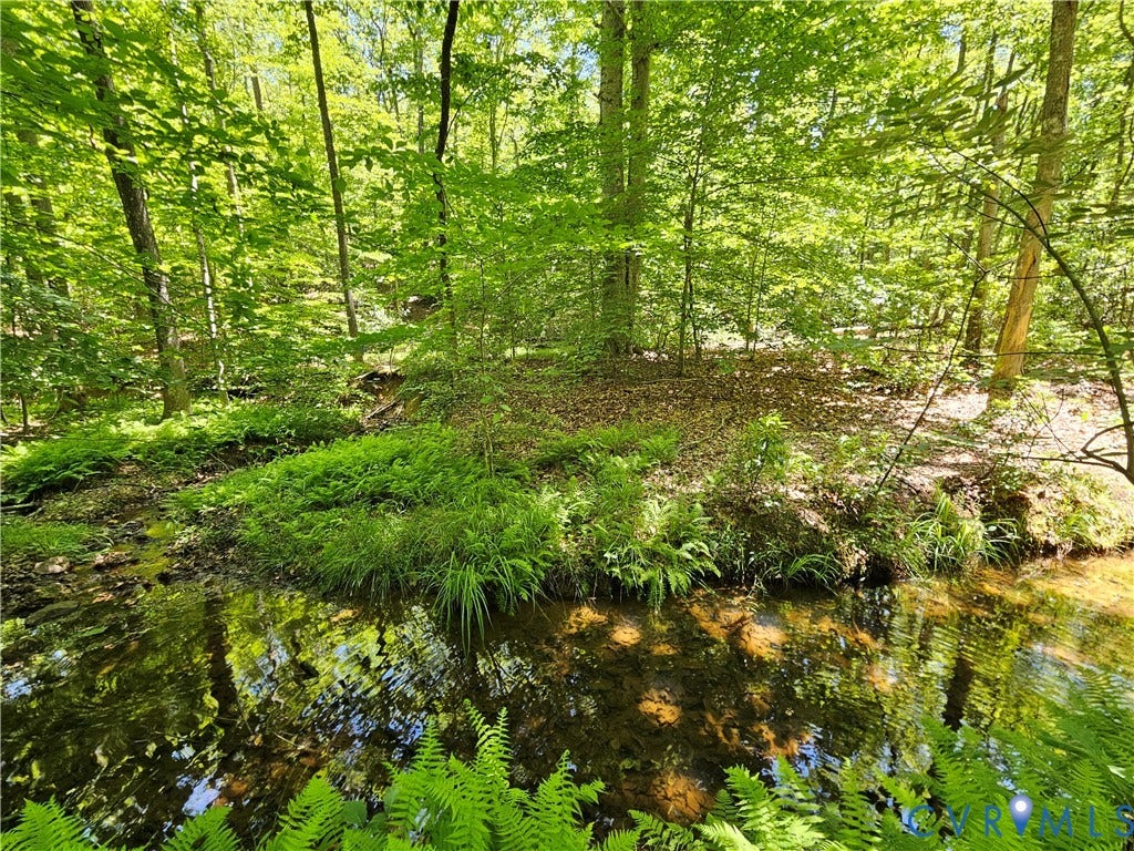 15 Ac Manteo Road, Buckingham, VA 23921 15 Ac Manteo Road, Buckingham, VA 23921