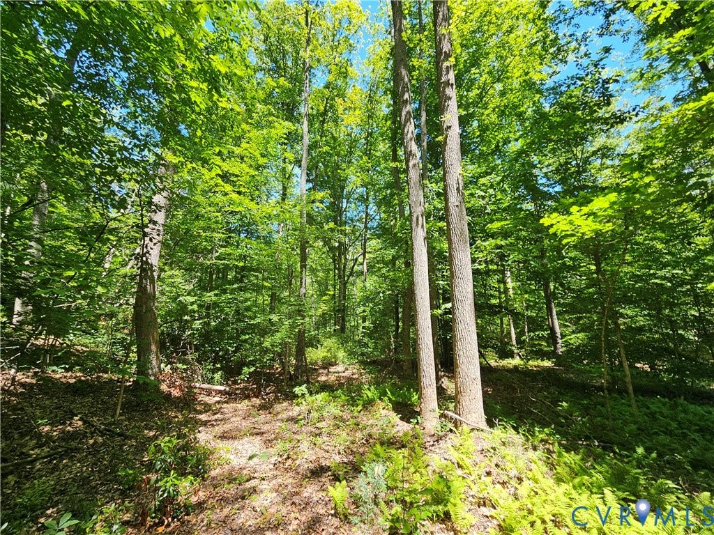15 Ac Manteo Road, Buckingham, VA 23921 15 Ac Manteo Road, Buckingham, VA 23921