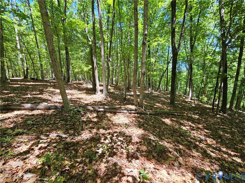 15 Ac Manteo Road, Buckingham, VA 23921 15 Ac Manteo Road, Buckingham, VA 23921