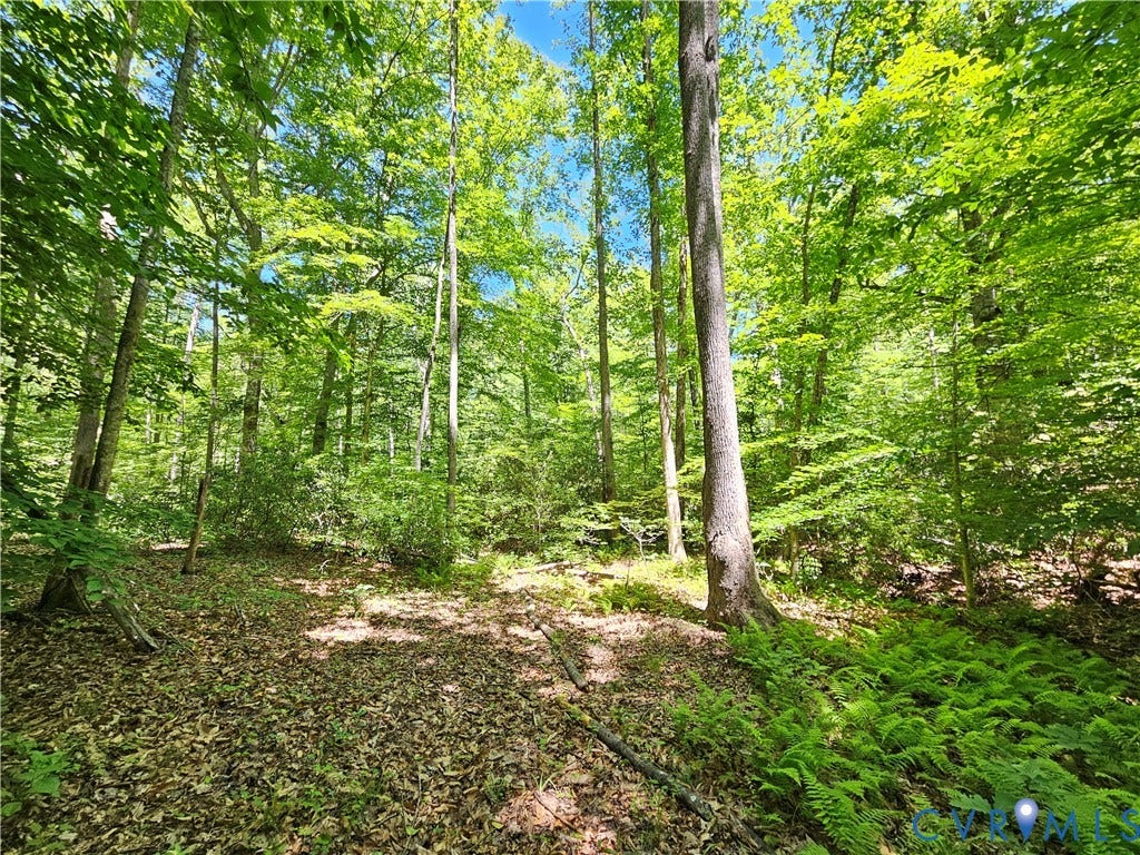 15 Ac Manteo Road, Buckingham, VA 23921 15 Ac Manteo Road, Buckingham, VA 23921