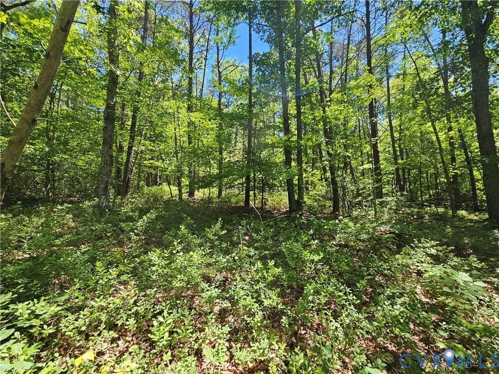 15 Ac Manteo Road, Buckingham, VA 23921 15 Ac Manteo Road, Buckingham, VA 23921