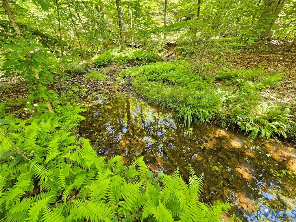 15 Ac Manteo Road, Buckingham, VA 23921 15 Ac Manteo Road, Buckingham, VA 23921