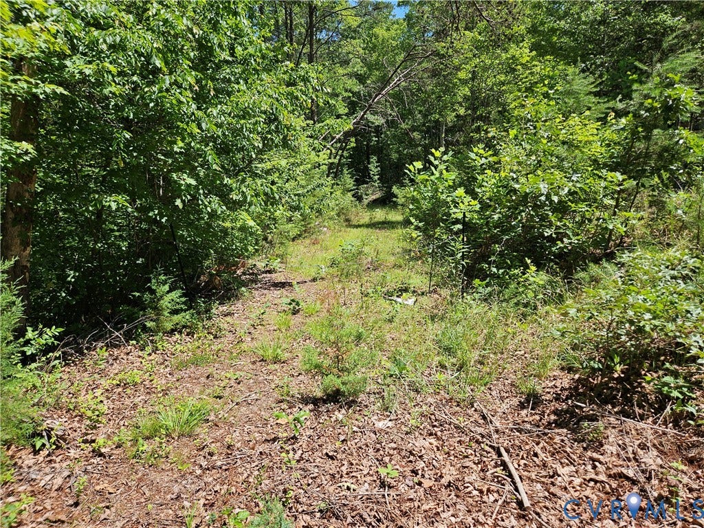 15 Ac Manteo Road, Buckingham, VA 23921 15 Ac Manteo Road, Buckingham, VA 23921