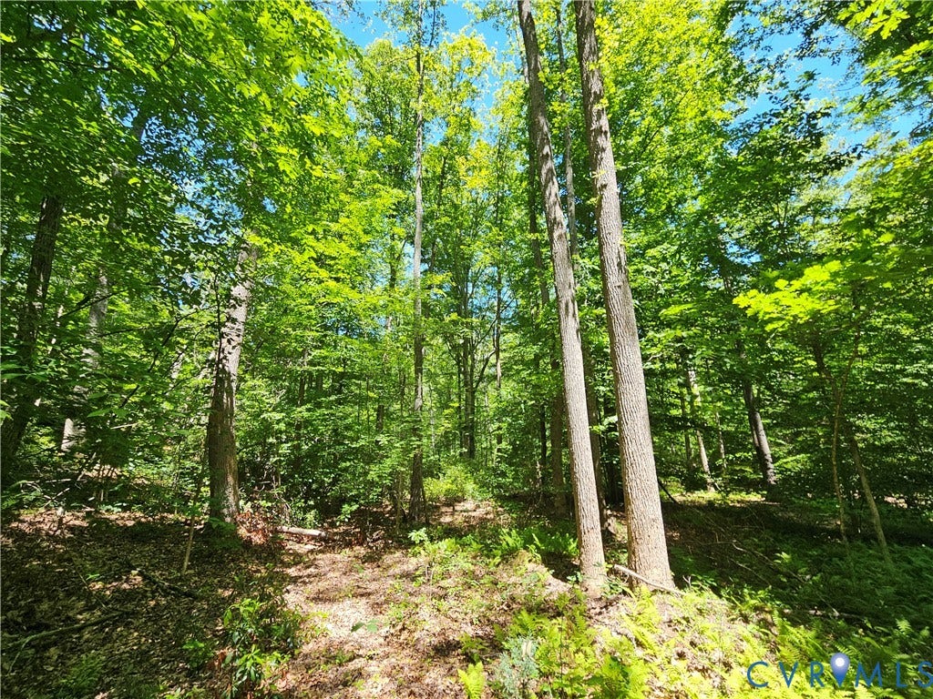 15 Ac Manteo Road, Buckingham, VA 23921 15 Ac Manteo Road, Buckingham, VA 23921