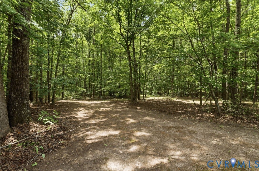 2065 Garrett Lane, Powhatan, VA 23139 View of private and wooded 10 acres, backs up to farmland.