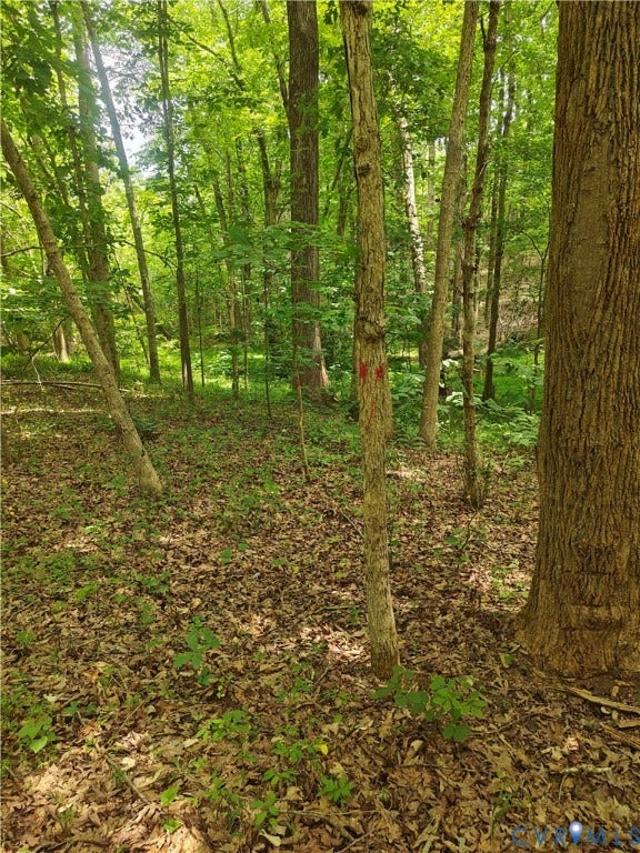 0 Davenport Road, Cumberland, VA 23040 0 Davenport Road, Cumberland, VA 23040