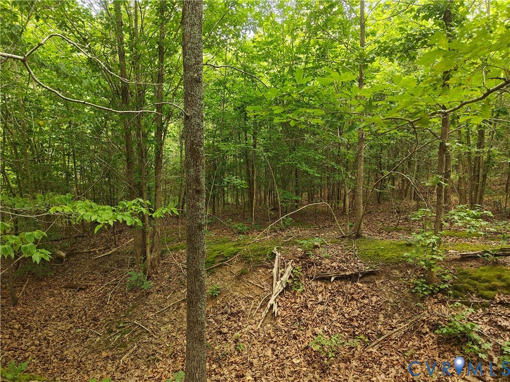 0 Davenport Road, Cumberland, VA 23040 0 Davenport Road, Cumberland, VA 23040