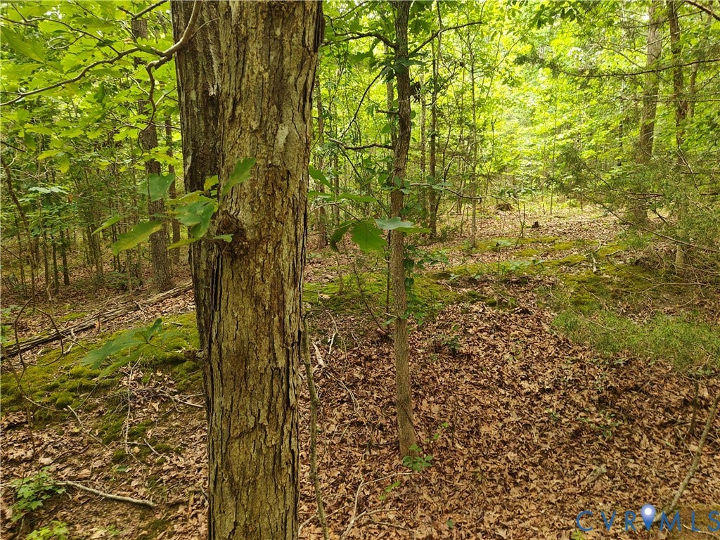 0 Davenport Road, Cumberland, VA 23040 0 Davenport Road, Cumberland, VA 23040