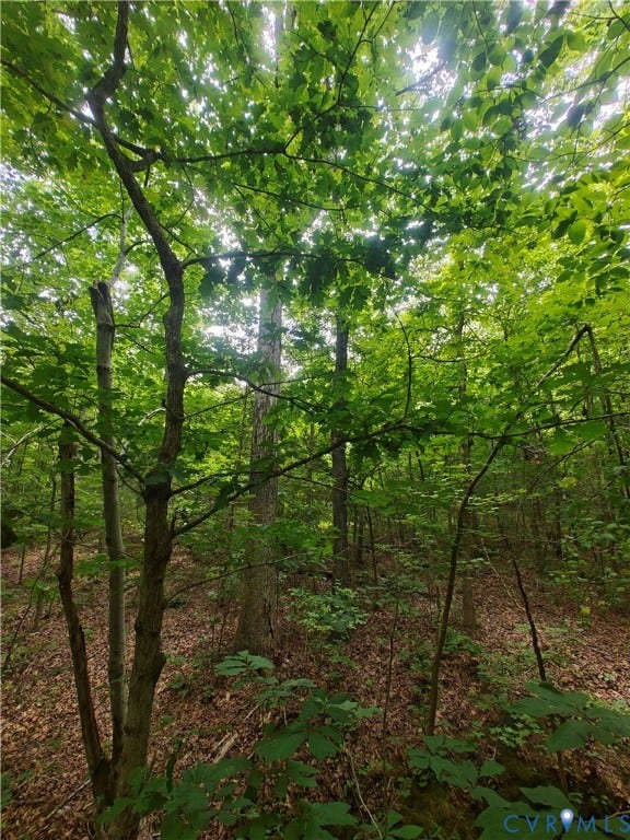 0 Davenport Road, Cumberland, VA 23040 0 Davenport Road, Cumberland, VA 23040