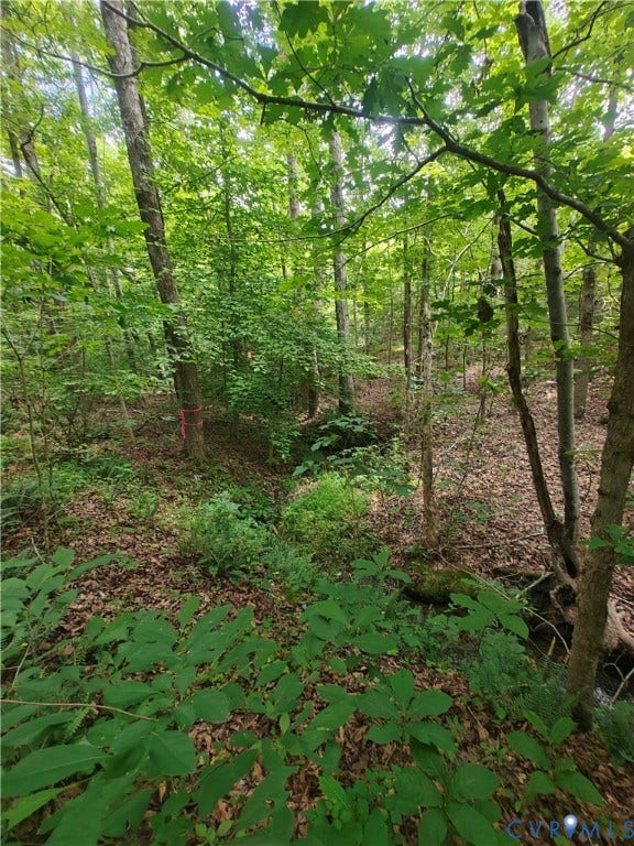 0 Davenport Road, Cumberland, VA 23040 0 Davenport Road, Cumberland, VA 23040