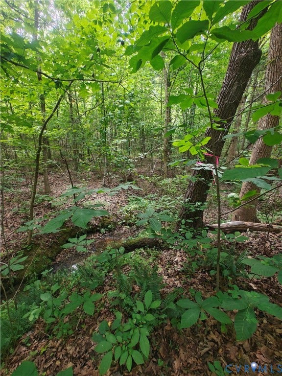 0 Davenport Road, Cumberland, VA 23040 0 Davenport Road, Cumberland, VA 23040