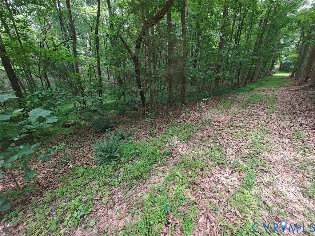 0 Davenport Road, Cumberland, VA 23040 0 Davenport Road, Cumberland, VA 23040