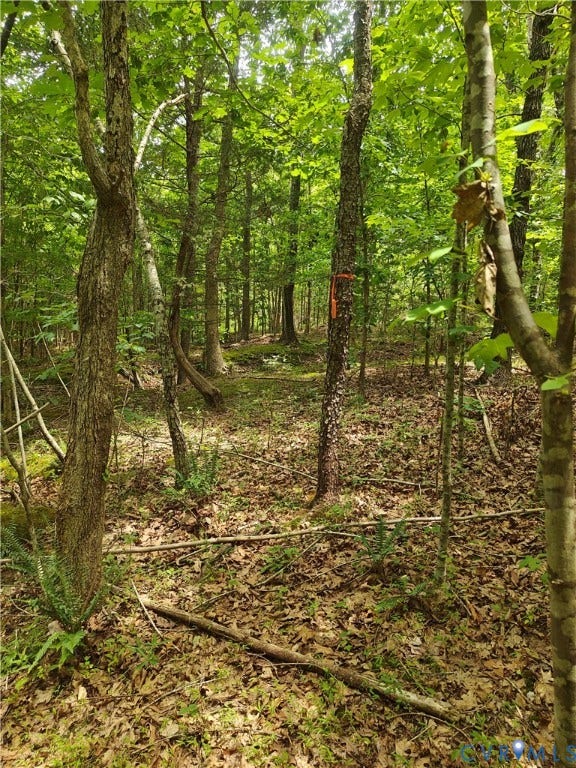 0 Davenport Road, Cumberland, VA 23040 0 Davenport Road, Cumberland, VA 23040