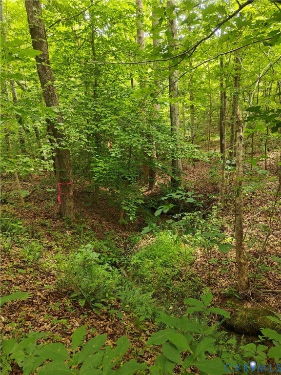 0 Davenport Road, Cumberland, VA 23040 0 Davenport Road, Cumberland, VA 23040