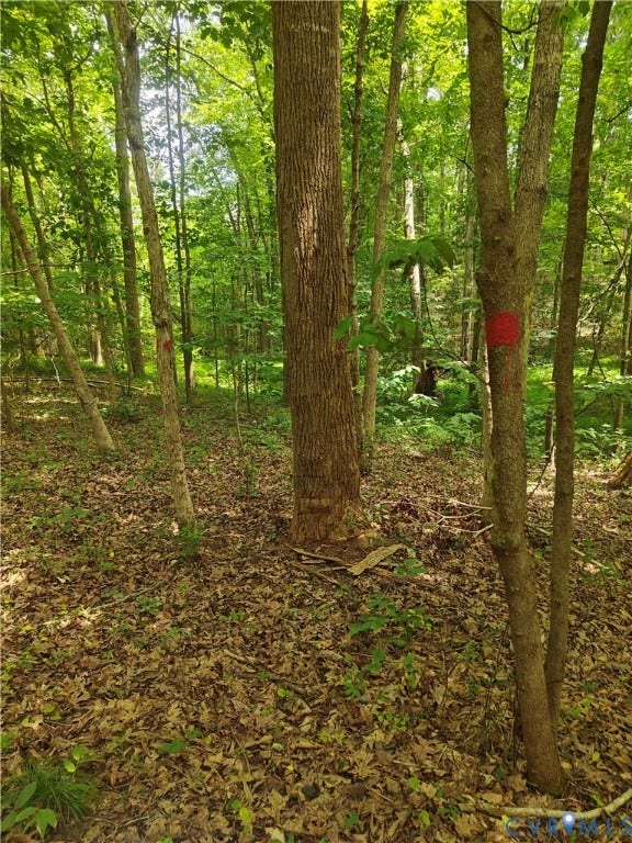 0 Davenport Road, Cumberland, VA 23040 0 Davenport Road, Cumberland, VA 23040