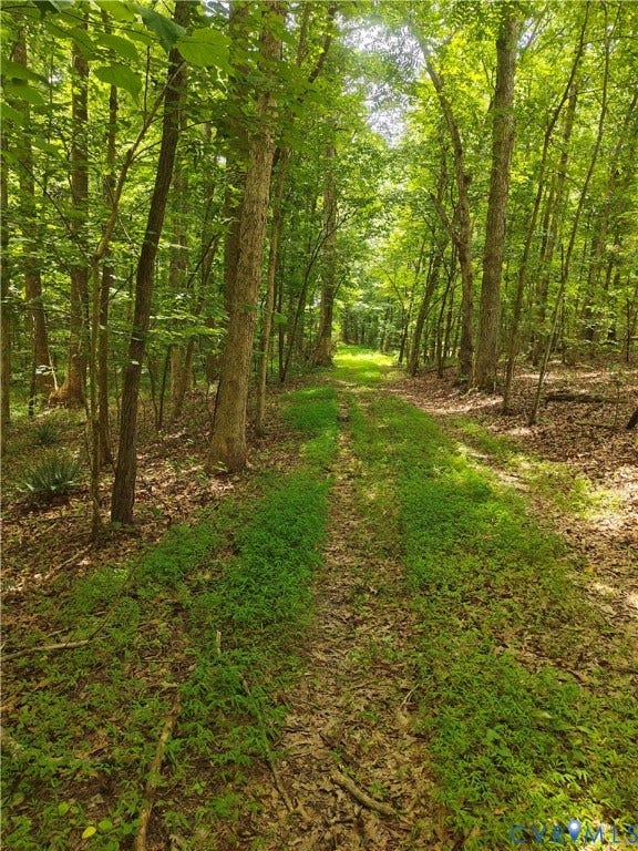 0 Davenport Road, Cumberland, VA 23040 0 Davenport Road, Cumberland, VA 23040