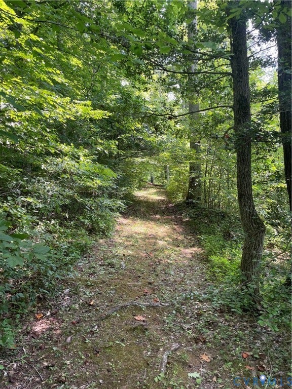 0 Lewis Hill Ln, Bumpass, VA 23024 Wooded lot featuring a natural path and mature trees