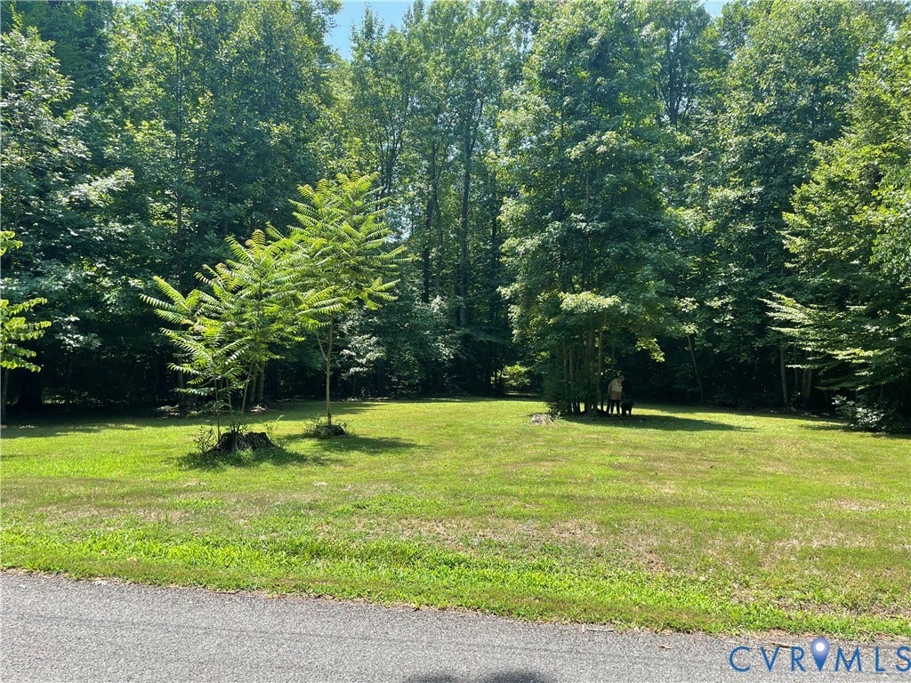 0 Lewis Hill Ln, Bumpass, VA 23024 Expansive green lawn surrounded by mature trees, featuring a paved road frontage