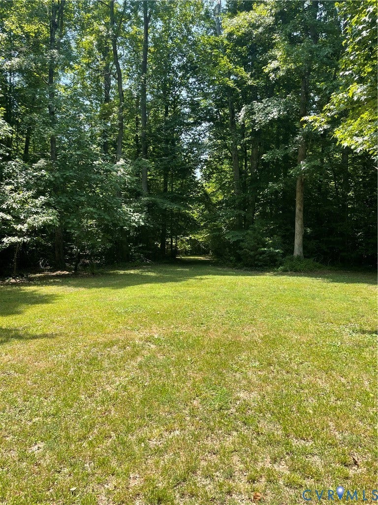 0 Lewis Hill Ln, Bumpass, VA 23024 Expansive grassy area bordered by a dense tree line with varied foliage