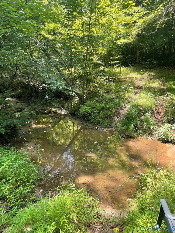 0 Lewis Hill Ln, Bumpass, VA 23024 Natural water feature surrounded by dense, mature foliage