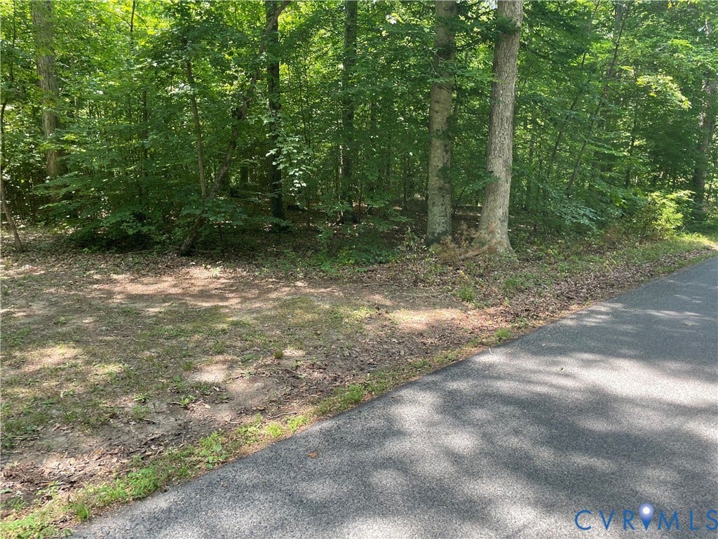 0 Lewis Hill Ln, Bumpass, VA 23024 0 Lewis Hill Ln, Bumpass, VA 23024