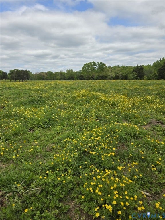 00 Perkinsville Lot 6 Road, Perkinsville Estates, Maidens, VA 23102 Expansive open field featuring green grass and numerous yellow wildflowers