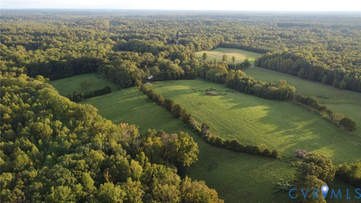 00 Perkinsville Lot 6 Road, Perkinsville Estates, Maidens, VA 23102 Expansive green pastures surrounded by mature deciduous trees
