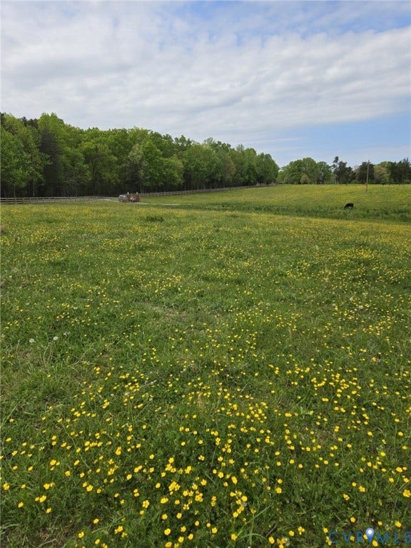 00 Perkinsville Lot 6 Road, Perkinsville Estates, Maidens, VA 23102 Expansive green pasture with scattered yellow wildflowers