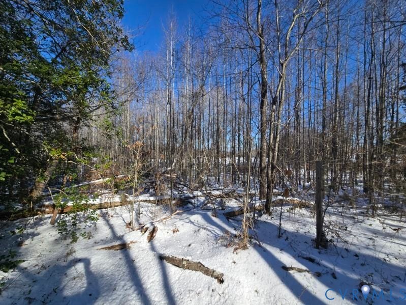 Wooded property featuring a dense arrangement of deciduous and evergreen trees, with a ground covering of natural snow