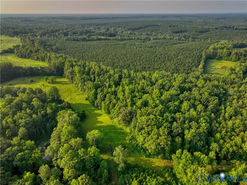 Expansive forested property featuring dense tree coverage and clearings