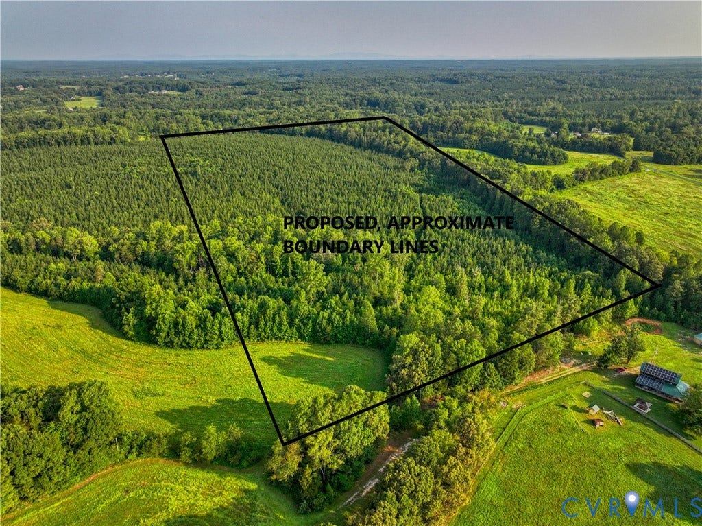 Expansive wooded acreage with a mix of mature trees and open fields