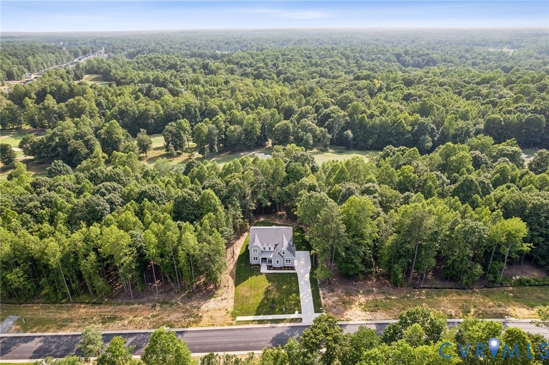 9156 Terroir Lane, Viniterra Villas, New Kent, VA 23124 New construction home set amidst expansive wooded surroundings, featuring a concrete driveway and a manicured lawn