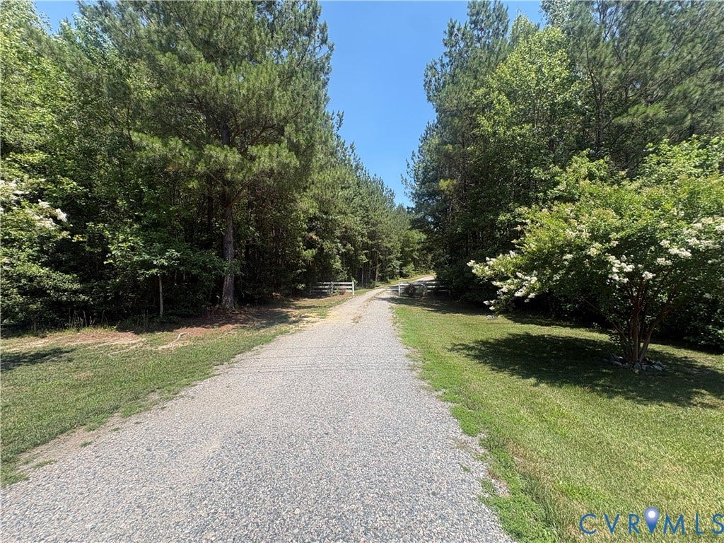 Gravel driveway flanked by mature trees and manicured grass verges