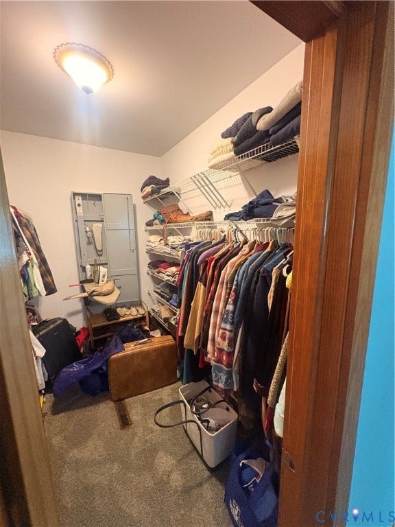 Walk-in closet featuring wire shelving, built-in clothes hanging rods, wall-mounted light fixture, and carpet flooring