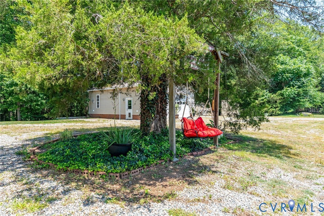 Gravel drive with a mature tree and ground cover landscaping