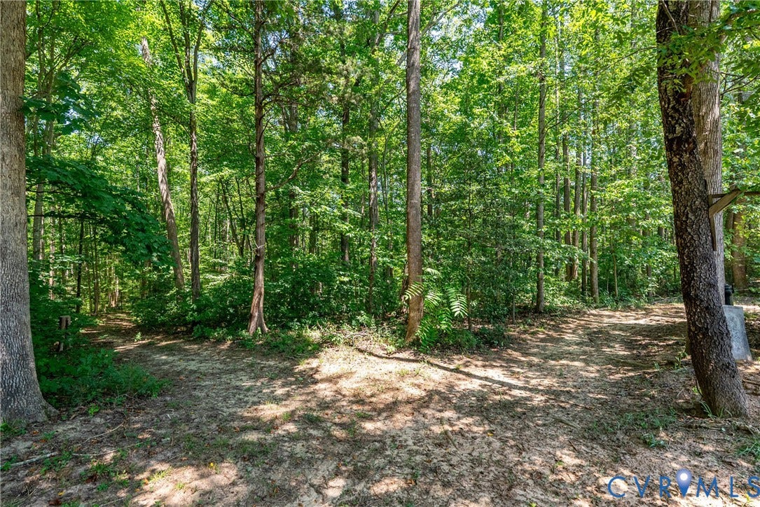 Wooded property featuring mature deciduous trees and natural ground cover