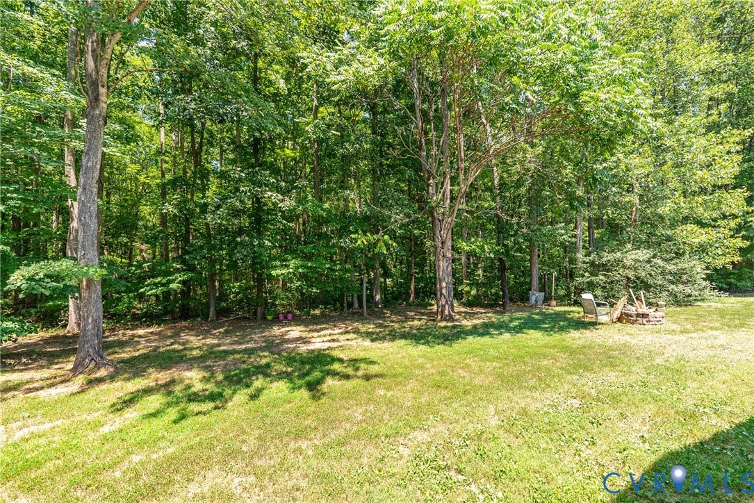 Expansive grassy yard backed by a dense treeline, featuring mature trees and a natural, shaded perimeter
