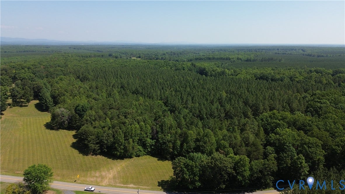 00 Glenmore Road, Howardsville, VA 24562 Expansive wooded acreage featuring diverse tree species