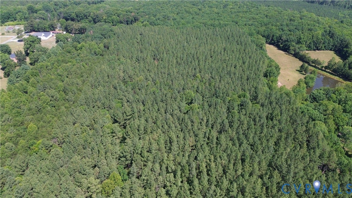 00 Glenmore Road, Howardsville, VA 24562 Expansive wooded acreage featuring mature trees and a private pond