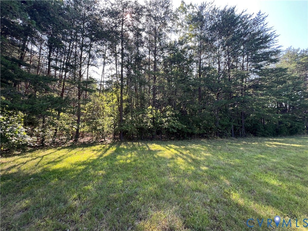 00 Glenmore Road, Howardsville, VA 24562 Expansive lawn area bordered by mature trees and natural landscaping
