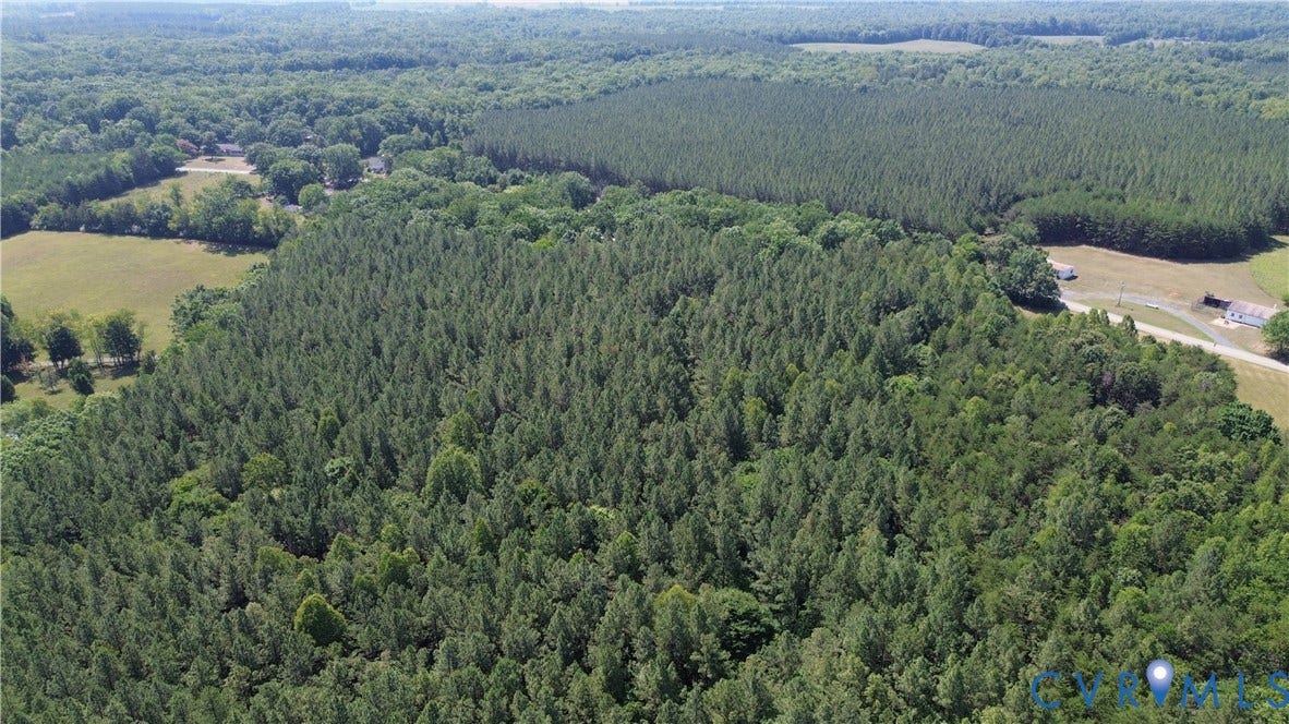 00 Glenmore Road, Howardsville, VA 24562 Expansive wooded acreage featuring mature trees and a mix of deciduous and evergreen foliage