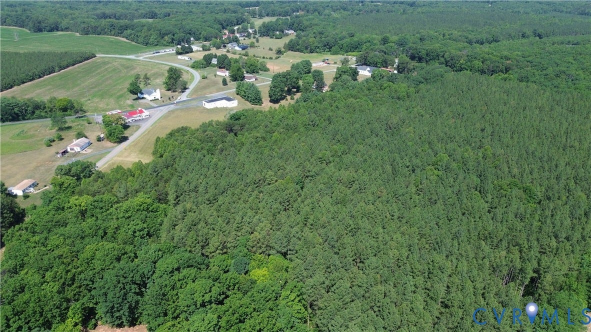 00 Glenmore Road, Howardsville, VA 24562 Expansive wooded acreage featuring dense evergreen and deciduous trees