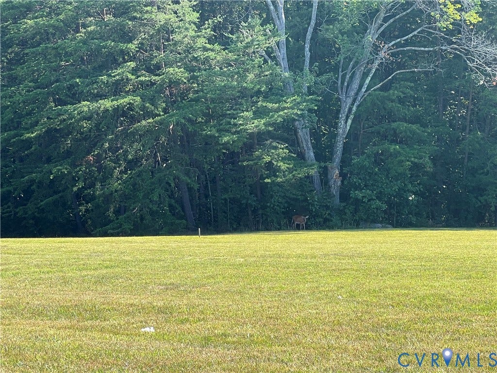 00 Glenmore Road, Howardsville, VA 24562 Expansive green lawn bordering a dense line of mature trees